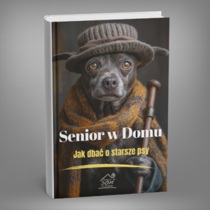 Senior w Domu - Jak Dbać o Starsze Psy
