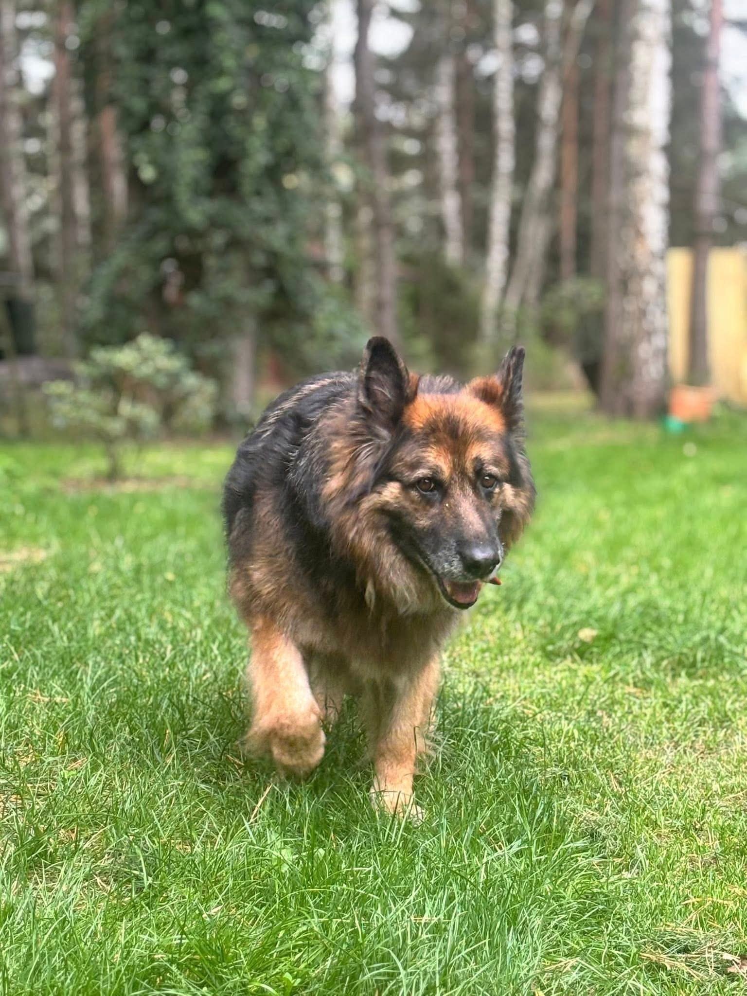 Sally, 12 lat
